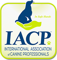 IACP